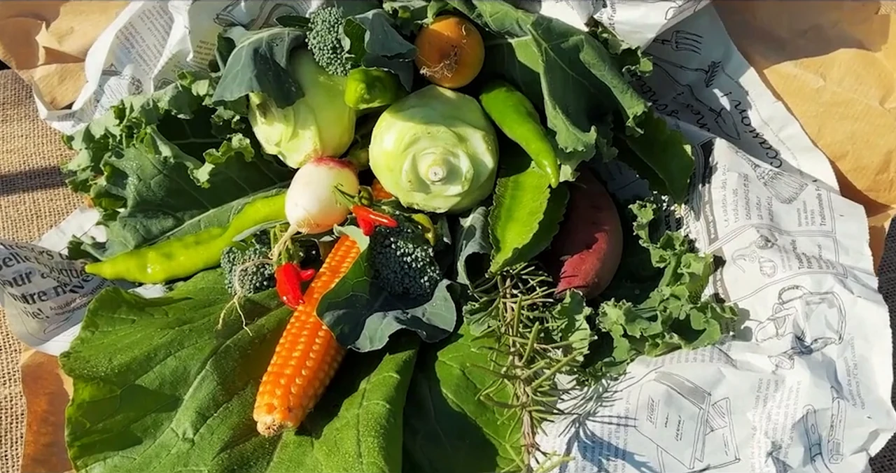 自然光で野菜の色と立体感を捉えた制作例